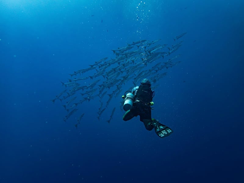 Sunken Treasure